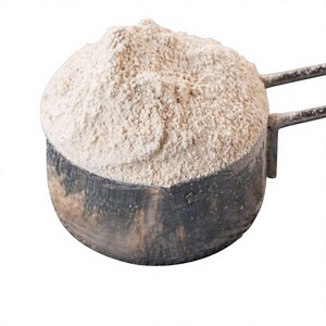 Farine d'Ulu séchée, farine de fruit à pain des Caraïbes, poudre de fruit à pain blanc fin, légèrement sucrée, sans gluten, substitut de blé, OEM - Product Image 1