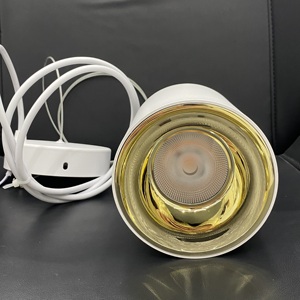 Lámpara Colgante LED de Alta Potencia Golden de 140 mm, 40W/50W, con Certificación ETL, Cable de Suspensión de 1 m, 5CCT, Regulable, 4500LM, IP65, CRI92, Protección Ocular, Clasificación IC - Product Image 1