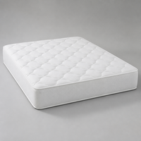 Matelas Queen à ressorts ensachés, compressé sous vide en boîte, idéal pour appartement, OEM