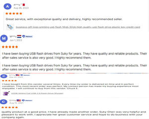 <span class=keywords><strong>Clé</strong></span> <span class=keywords><strong>USB</strong></span> 2.0 en forme d'os de chien en plastique Nouveau produit en stock - Product Image 4