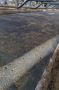 Alfombrilla para cubículo de Granero lácteo, colchón de espuma de látex PU para Vaca, cómoda alfombrilla de cama de vaca para vaquilla <span class=keywords><strong>Holstein</strong></span> Jersey, esteras para vacas - Product Image 6