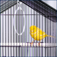 Cage à oiseaux en forme de maison, design toit en pignon, plateau de nettoyage en plastique extractible, perchoirs, pour perruches et pinsons, boîte d'intérieur pour animaux de compagnie