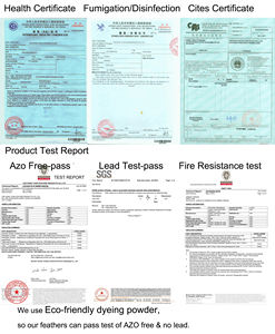 Plumes d'autruche Femina <span class=keywords><strong>24</strong></span>-26 pouces pour décoration de costumes de carnaval - Product Image 6