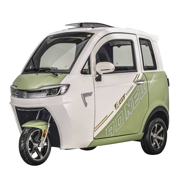 Hot Electric Tricycles Three Wheel Scooter 1500w Mini Car Family Electric Vehicle 2 Seater