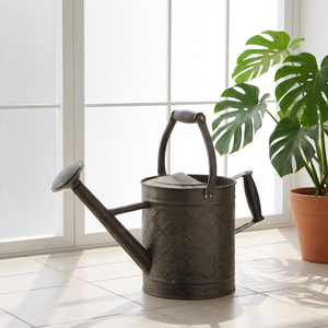 Regadera con mango para jardín al aire libre, suministros de agua con acabado rústico antiguo de bronce, decoración moderna, grande - Product Image 3