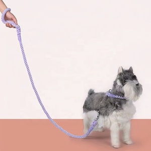 Guinzaglio per cani nuovo personalizzato all'ingrosso colore sfumato arcobaleno guinzaglio morbido per cani in corda di cotone intrecciato tinto a mano - Product Image 6