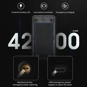 NeweKey Tuya TT приложение для управления телефоном 3D распознавание лица с паролем отпечатков пальцев цифровой смарт-замок без ключа