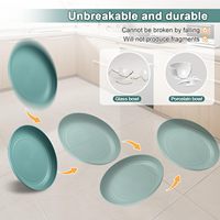 Assiette en mélamine réutilisable sans BPA, résistante aux chutes, compatible micro-ondes et lave-vaisselle, jetable pour la rentrée scolaire