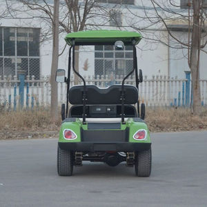 Voiture de golf électrique 2 places de haute qualité, équipée d'un moteur puissant de 3,5 kW pour les hôtels, les stations balnéaires et les zones panoramiques - Product Image 4