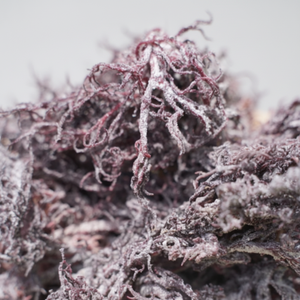 สาหร่ายทะเลสีม่วงแห้งจากเวียดนาม /eucheuma cottonii/Ms. Lima - Product Image 1