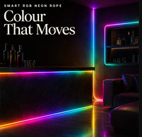Bande LED néon intelligente à changement de couleur, basse tension, port USB, contrôle par application mobile, activation musicale, contrôle sonore, éclairage extérieur IP65
