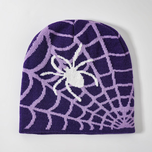 Custom High Quality Common Spider Web Jacquard Logo Knitting Travel Winter Hat <strong>Beanie</strong> - Product Image 5