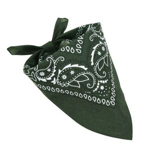 Cache-cou multifonctionnel personnalisé en microfibre de polyester, masque facial, écharpe, bandana, design personnalisé - Product Image 1