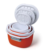 Ensemble de glacières en plastique personnalisées pour l'extérieur, 6L, 14L, 28L, glacières de voyage, pêche, qualité alimentaire, matériau PP, glacières à glace