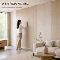 Panneau de revêtement mural en cristal de carbone, insonorisant, résistant aux chocs, design moderne pour la décoration des hôtels commerciaux et des salons