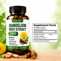 Capsules d'extrait de racine de pissenlit naturel à marque privée, vente directe d'usine, complément alimentaire à base de plantes, échantillon disponible