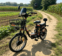 Vélo électrique deux places avec dossier et panier avant en fer, longue autonomie, batterie au plomb-acide, vélo électrique de ville