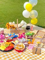 Tapis de pique-nique imperméable épaissi en promotion, portable, anti-humidité, pour camping en extérieur, pliable, pour pelouse et plage, idéal pour le printemps
