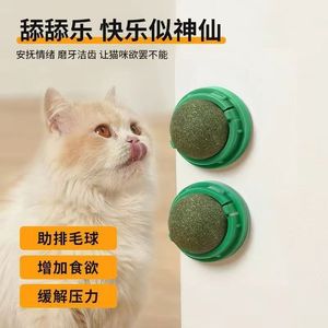 Jouets à mâcher en forme de boules de catnip pour chats, jouet pour animaux de compagnie en plastique durable pour intérieur - Product Image 4