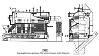 Chaudière à vapeur industrielle Kingder DZL à tubes de chaleur, haute efficacité, alimentée à la biomasse (coques de riz, granulés de bois) pour usine textile