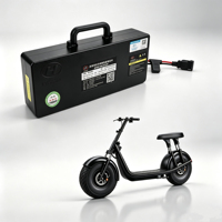 60V 20Ah Lithium-Akkupack für Elektroroller mit Smart BMS, Langstrecken-Akku für Roller, Anpassbar OEM ODM