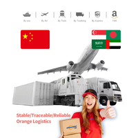 Programa de Envío Global, Agente de Carga de China a Emiratos Árabes Unidos, Singapur, Arabia Saudita, Envío Marítimo DDP, Dropshipping de Artículos Medianos