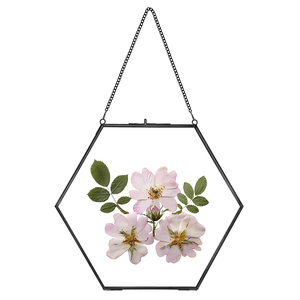 Treo đồng thau đôi kim loại kính khung ảnh kính vàng + khung đồng ép hoa khung - Product Image 5