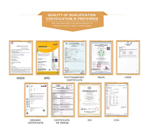 OED Custom Labels Urolithin A Capsule 120 Softgel Antioxidant Anti-Aging Urolithin A Adult Urolithin Liposome Supplement - Product Image 3