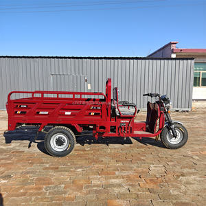 Triciclo de Carga a Gasolina de 3 Ruedas con Carrocería Abierta Fabricado <span class=keywords><strong>en</strong></span> China - Product Image 3