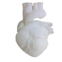Aksesori cetak 3D kualitas tinggi pencetakan desain 3D SLM perhiasan presisi ultra-tinggi seni cetak 3D