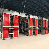 Prix d'usine Équipement avicole : Cages en batterie entièrement automatiques de type H pour poules pondeuses