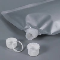 Pochette souple transparente personnalisée de qualité alimentaire avec bec verseur pour jus, boissons et sauces