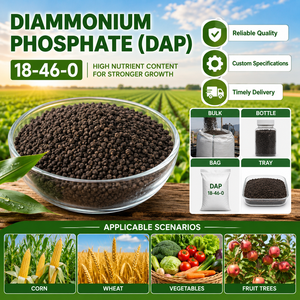 Approvisionnement direct usine Phosphate de diammonium <span class=keywords><strong>DAP</strong></span> <span class=keywords><strong>18</strong></span>-<span class=keywords><strong>46</strong></span>-0 CAS 7783-28-0 Fabricant fiable Vente en gros engrais phosphatés - Product Image 5