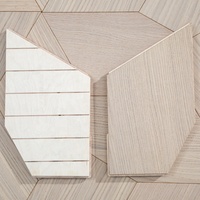 Nouveau parquet en bois composite multicouche à motifs géométriques irréguliers, en chêne naturel façonné en pentagone