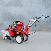 Motoculteur Rotatif Compact 170F 177F à Essence, Mini-Cultivateur Agricole, Mini-Machine à Labourer pour Ferme 7.5hp 9hp