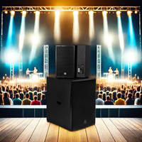 Système de sonorisation PA actif professionnel 2.1 Classe D DSP 500W 55Hz-18KHz Bois/Métal Extérieur Équipement audio professionnel Noir CE