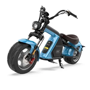 Rooder koşucu M8 elektrikli scooter 2000w 20ah 30ah COC EEC toptan satış fiyatı