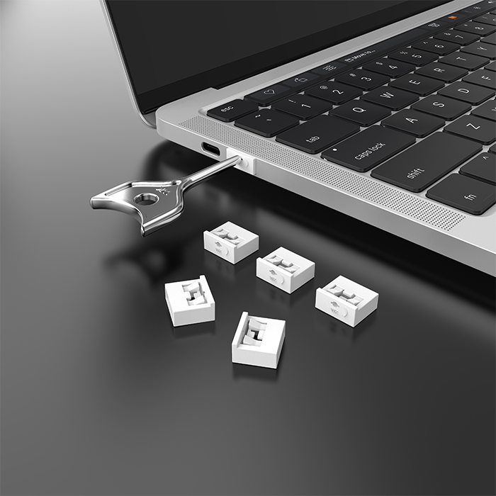White(10 locks plus 1 key)