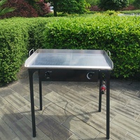 Produit populaire Réchaud de camping à brûleur unique pour l'extérieur Brûleur à gaz en fonte