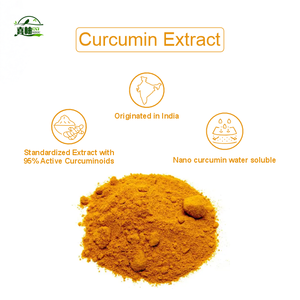 XIYOU 100% Natural Curcuma Longa Turmeric Extract Pó Orgânico Extrato Raiz De Açafrão - Product Image 5