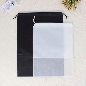 Bolsa de Almacenamiento Transparente con Cordón, para Sandalias, Pantuflas, Zapatos Deportivos para Hombre, a Prueba de Polvo - Product Image 3