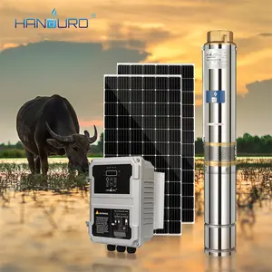 Handuro 380V 4KW 17m^3/H 150M 4inch Borehole Solar Submersible Water Pump With Panels