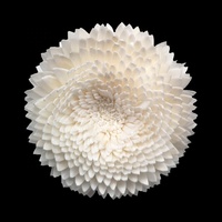 Diffuseur de roseaux de 8cm de haute qualité, pétales de bois faits à la main, fleur de sola pour mariage et décoration intérieure vente en gros