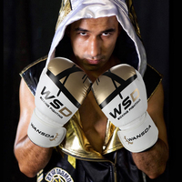 Gants de Boxe d'Entraînement en Cuir PU, 10oz 12oz 14oz, Type Winning