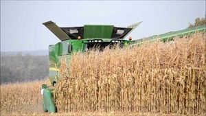 bibo YS50E-001 <b>Harvester</b> Steering Hydraulic Cylinder for <b>Corn</b> Wheat Rice <b>Harvester</b> Agricultural Machine - Product Image 5