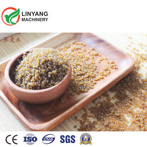 เครื่องผลิตโจ๊กและผงโภชนาการอัตโนมัติรุ่นใหม่ เครื่องอัดรีดข้าวเทียมสำหรับฟาร์ม ชิ้นส่วนมอเตอร์หลัก - Product Image 4