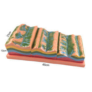 Modelo de enseñanza de Geografía de Ciencias Médicas de estructura de pliegue y su evolución geomórfica para equipos educativos - Product Image 2