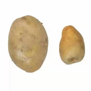 Price Of Fresh Potatoes China Trade,Buy China Direct From Price Of 