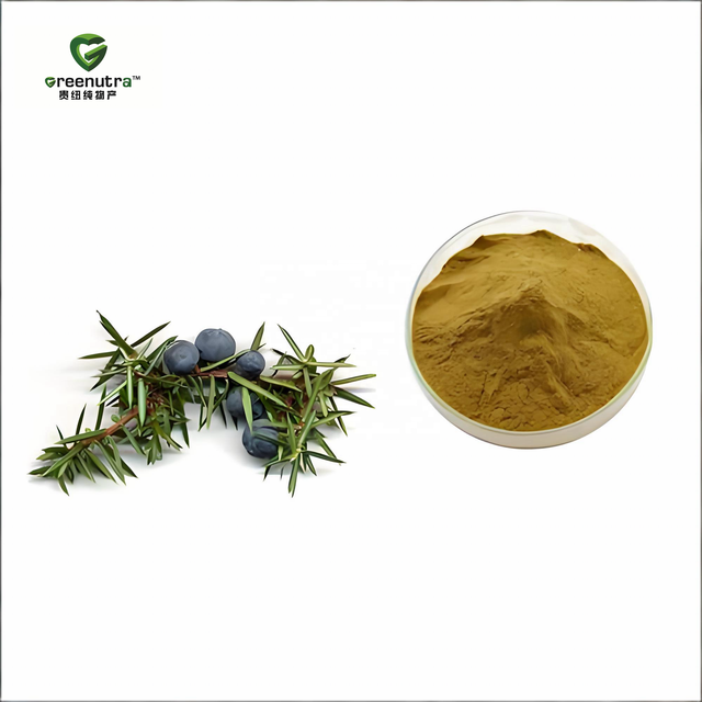 Juniper Berry Extract Juniperus Communis 10:1 Concentrated Natural Powder Solvent Drum for Dietary Supplement Kidney Use
