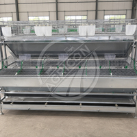 Nouvelle Cage à Lapins de Style Européen Type H, Cage Intérieure/Extérieure en Acier Galvanisé, 2/4 Niveaux, avec Abreuvoir et Mangeoire Automatiques